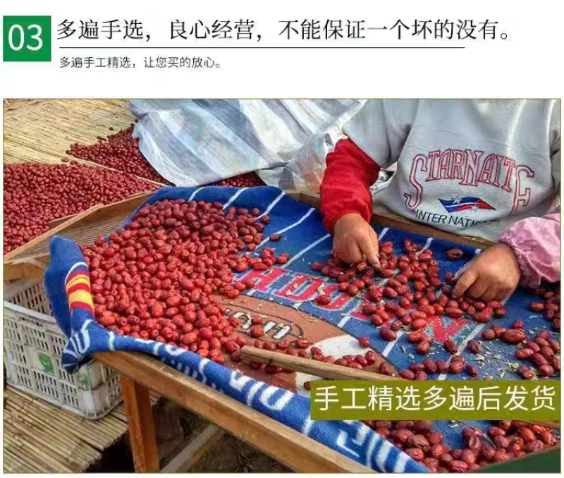 包邮【新货】沧州金丝小枣农家自产自销小红枣优质红枣煲汤