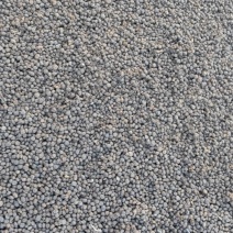 山东兔粪