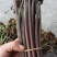 甜蕨苦蕨品种多多