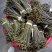 甜蕨苦蕨品种多多