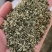 火麻仁新货上市去皮火麻仁净货紫轩药业重在品质