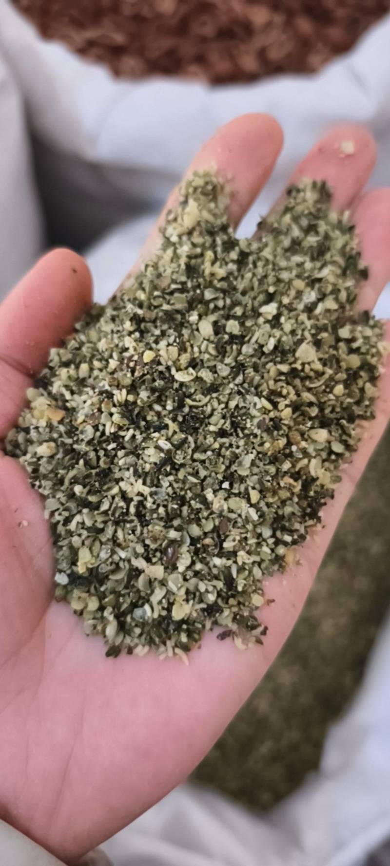 火麻仁新货上市去皮火麻仁净货紫轩药业重在品质