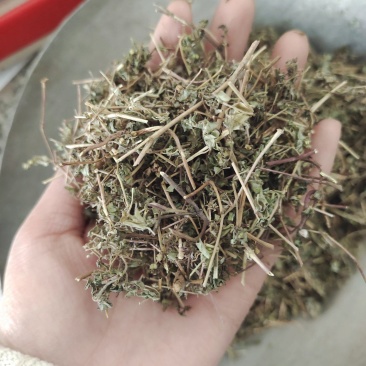 地锦草，新货，产地货源，保质保量，批发各种中药材欢迎订购