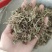 地锦草，新货，产地货源，保质保量，批发各种中药材欢迎订购