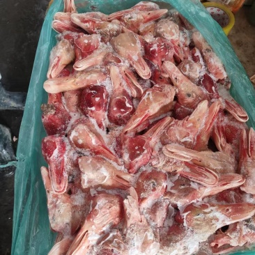 大板鸭头十四吨