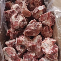 后肘骨