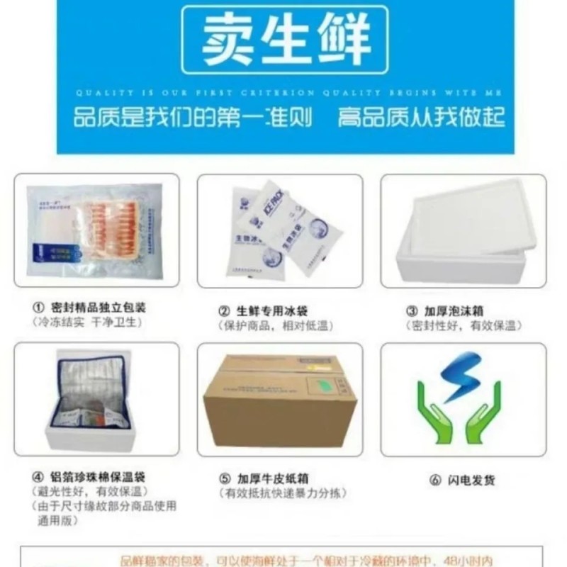 甲鱼苗【批发包邮包活到家】黄河鳖苗外塘散养冷水苗中华团鱼