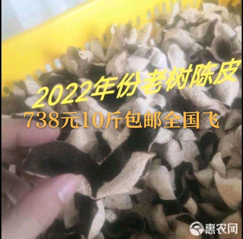 新会陈皮.