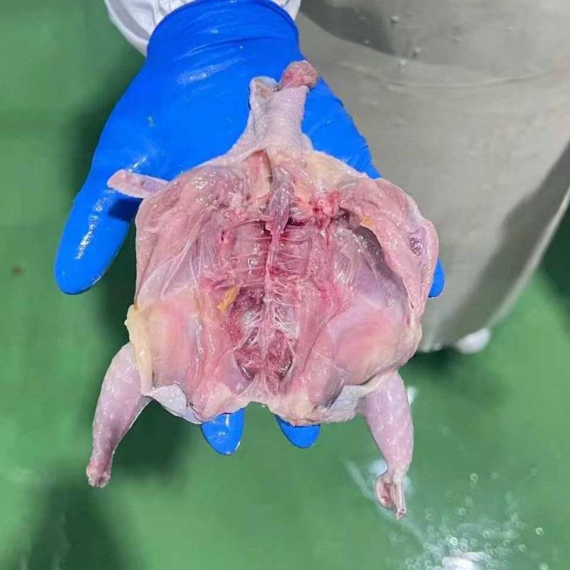 去头去爪净躺鹌鹑二两左右