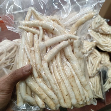 鲜川明参
