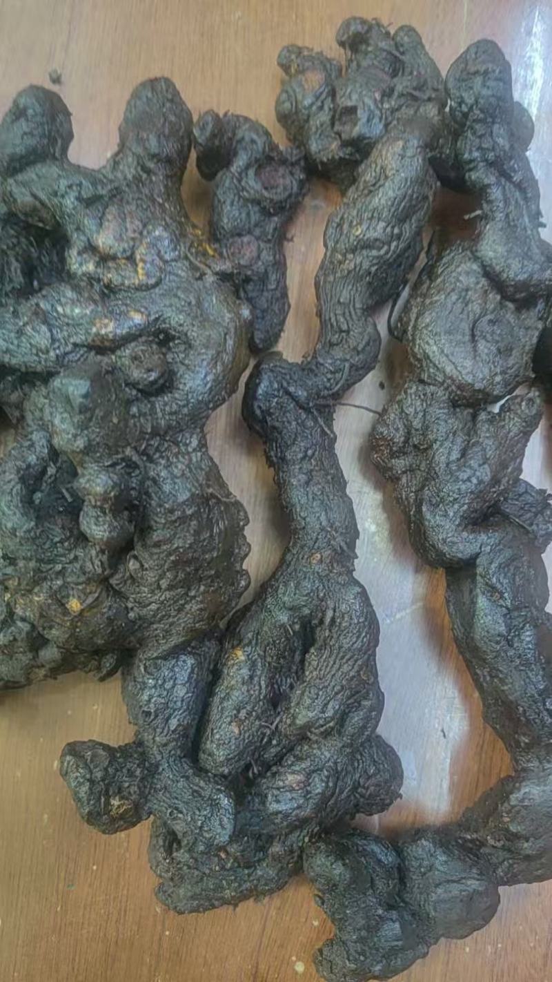 云南黄精大量供货产地直发价格优惠品质保证欢迎来电洽谈