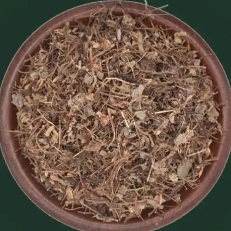 酢浆草天然炸酱草全草干品酢浆草酢酱草炸浆草