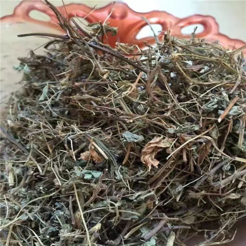 酢浆草天然炸酱草全草干品酢浆草酢酱草炸浆草