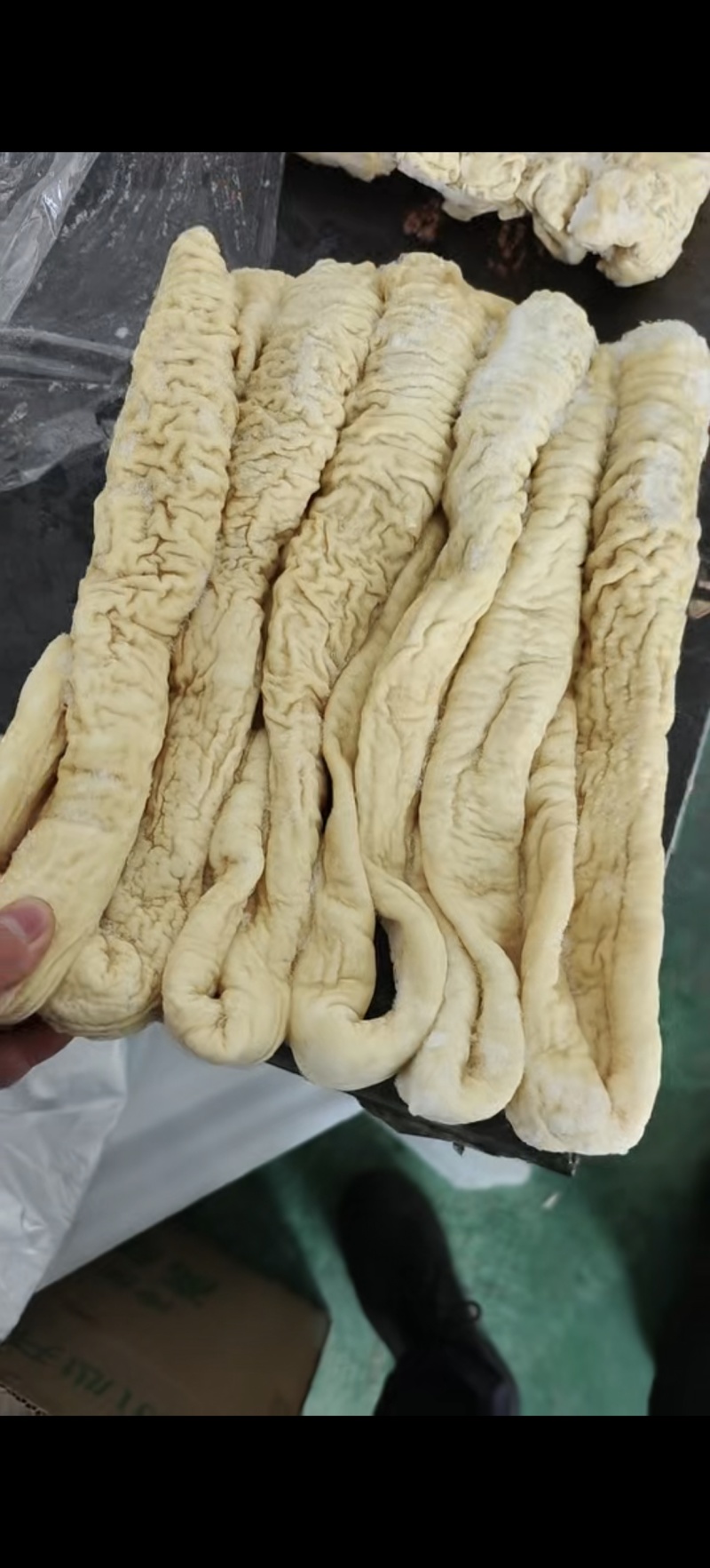 大肠头，预煮大肠头到货，纯干无冰想用高质量