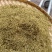 精品金银花产地一手货源全国发货量大价优欢迎随时联系