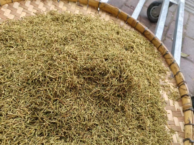 精品金银花产地一手货源全国发货量大价优欢迎随时联系