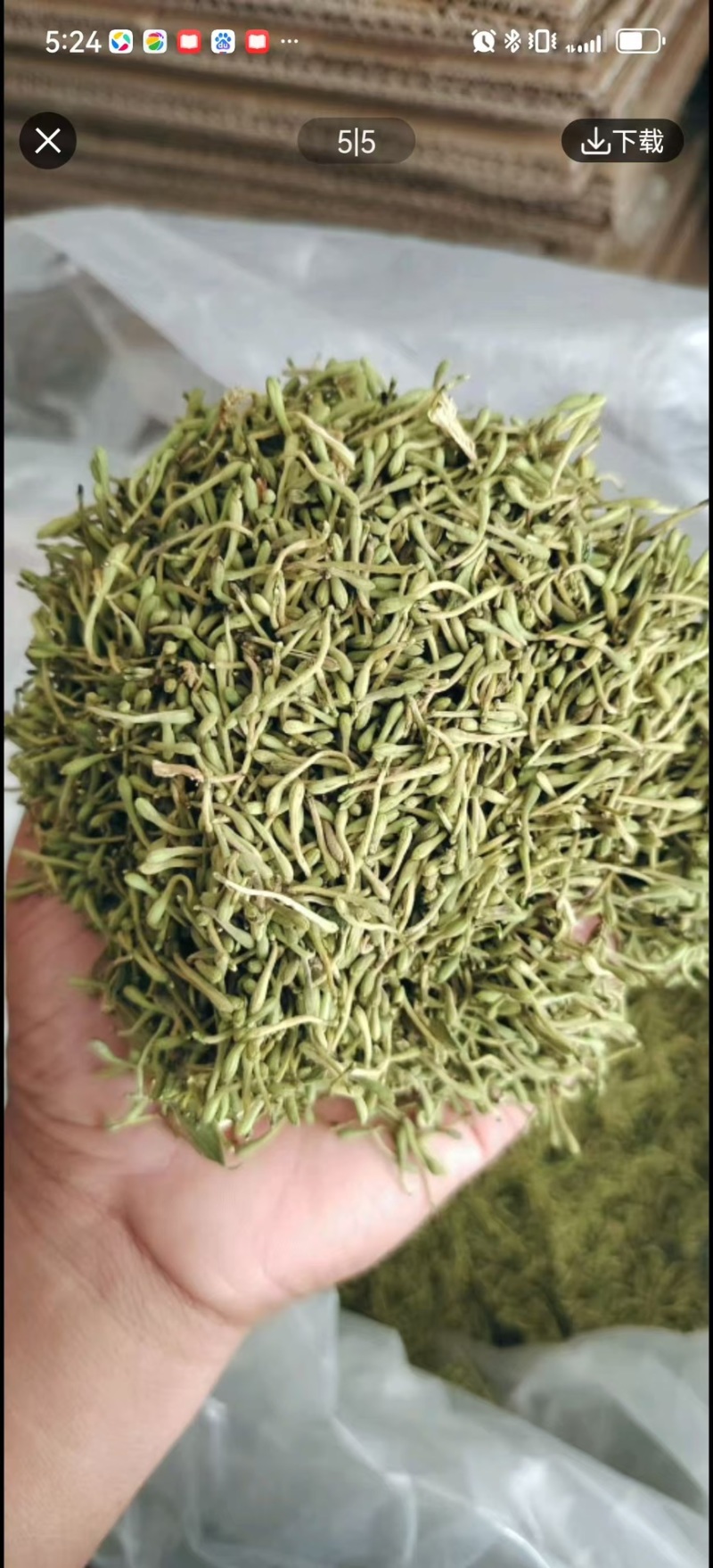 精品金银花产地一手货源全国发货量大价优欢迎随时联系