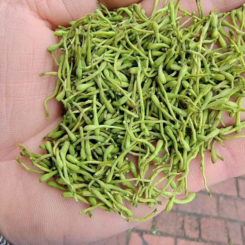 精品金银花产地一手货源全国发货量大价优欢迎随时联系