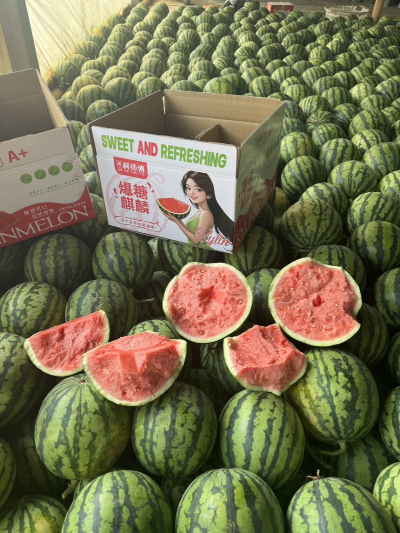 云南德宏大棚美都西瓜麒麟瓜口感酥脆糖度高支持全国发货