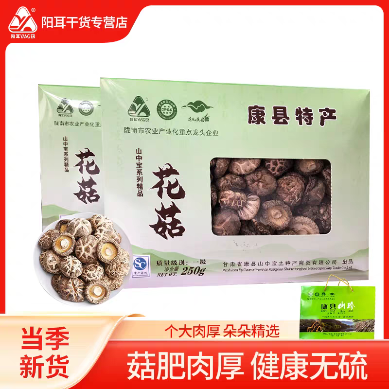 康县黑木耳