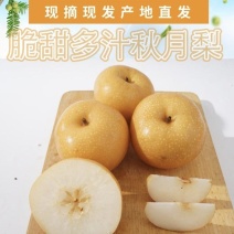【电商代发】山东莱精品冰糖秋月梨细腻无渣产地直发一件代发