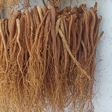 红参须，是人参剪下的腿，蒸熟而成烘干/量大从优欢迎来电
