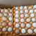 粉蛋鸡蛋量大从优品质保证全国发货货
