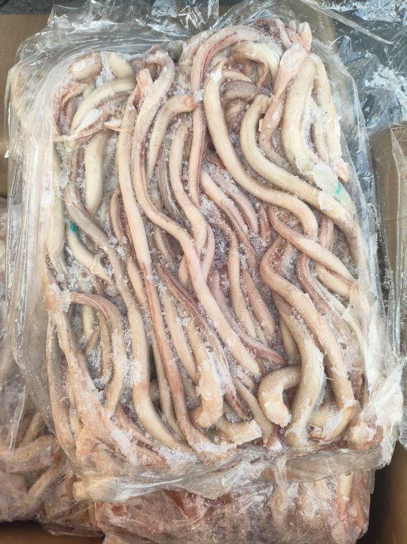 猪边没有断根
