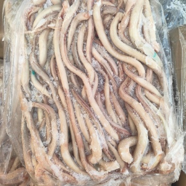 猪边没有断根