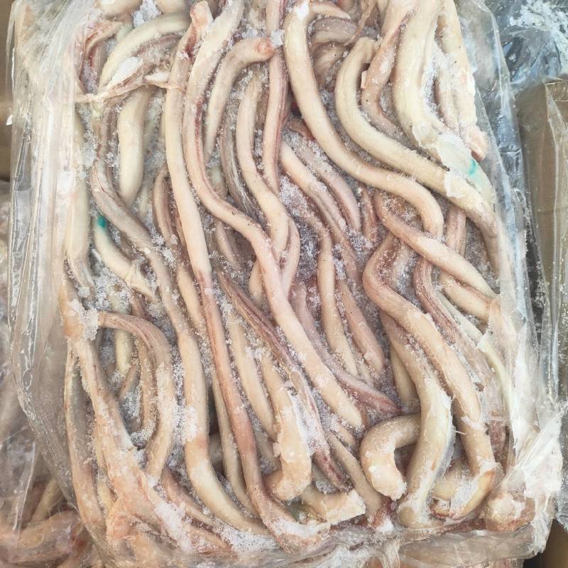 猪边没有断根