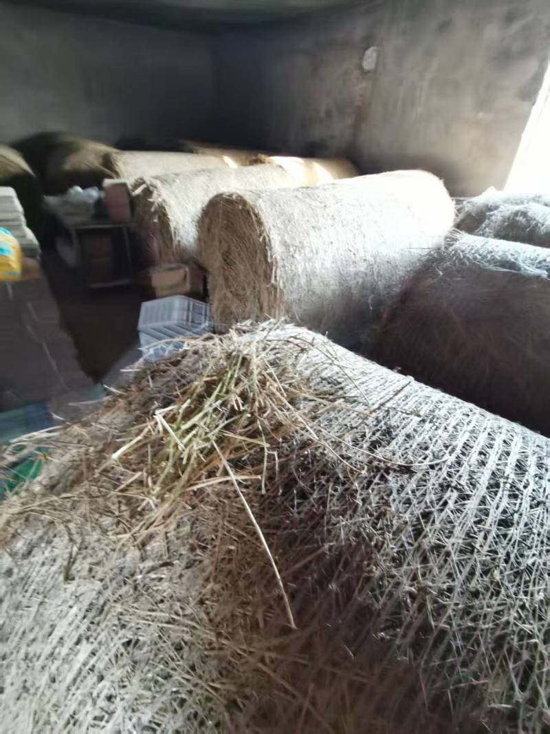 吉林松原晒干苜蓿草圆捆价格合理欢迎到地查看