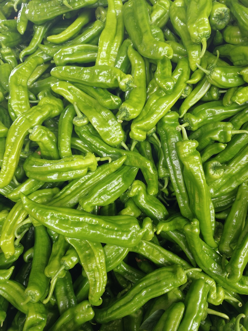 精品泡椒