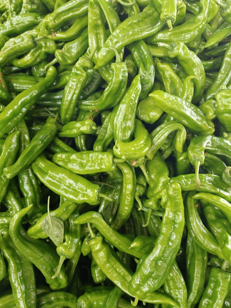 精品泡椒