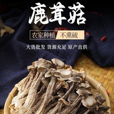 厂家货源新货切根鹿茸菇鹿茸菌各种规格电商货产地直发