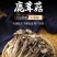 厂家货源新货切根鹿茸菇鹿茸菌各种规格电商货产地直发