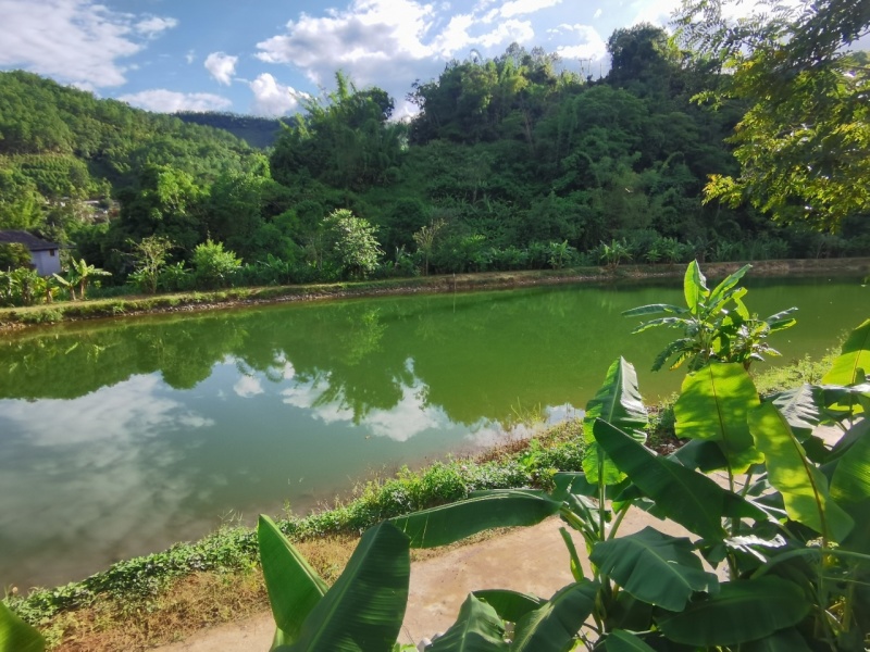 鱼塘，房屋，土地出租
