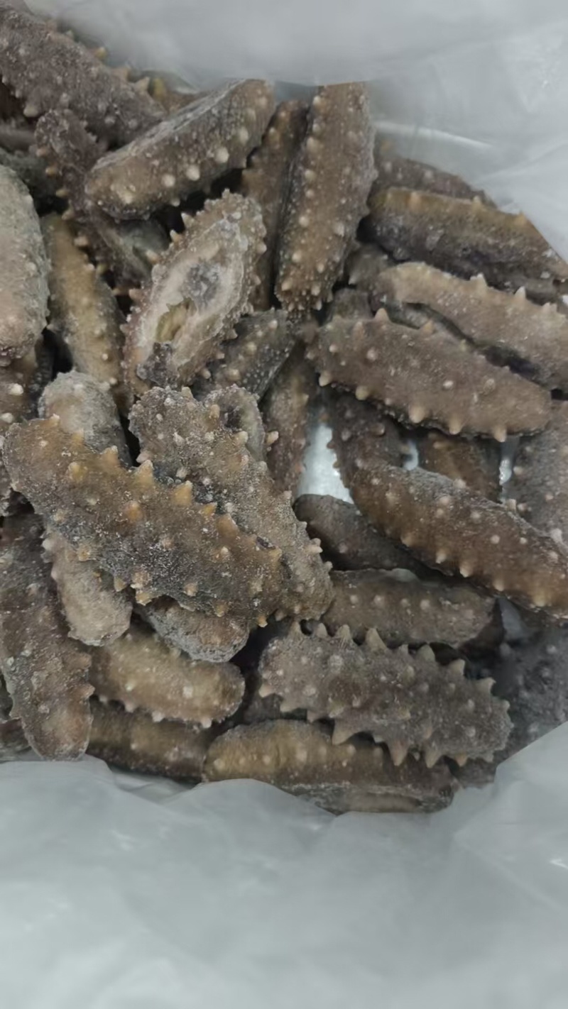 即食海参串串烧烤夏日必备关东煮麻支持定制批发