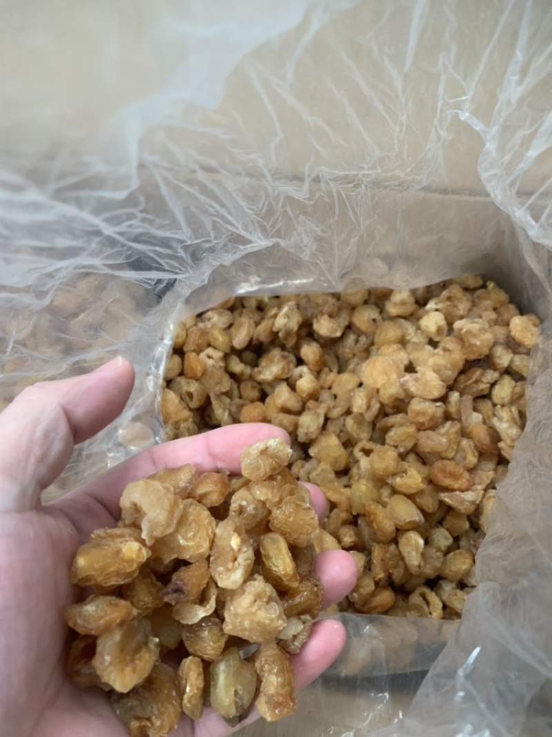 2026年桂圆肉大量有货，欢迎来撩