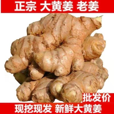 生姜大量上市，全国发货，欢迎进店沟通。