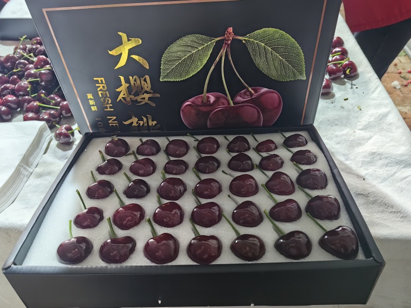 内蒙宁城大樱桃