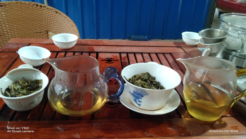 勐海普洱生茶