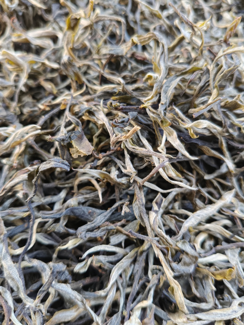 勐海普洱生茶