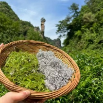 永顺莓茶