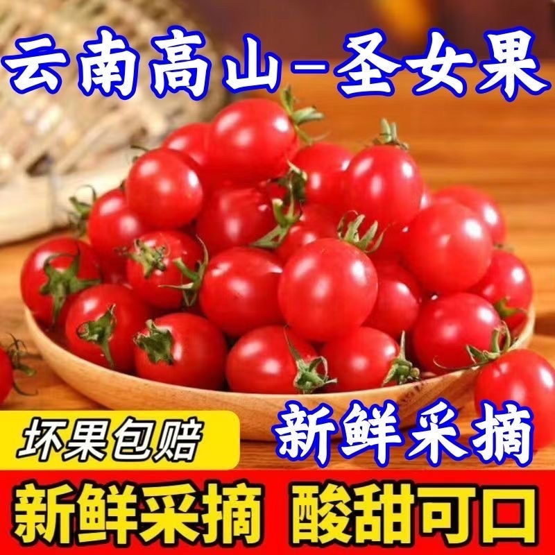 云南露天千禧圣女果小番茄一件代发