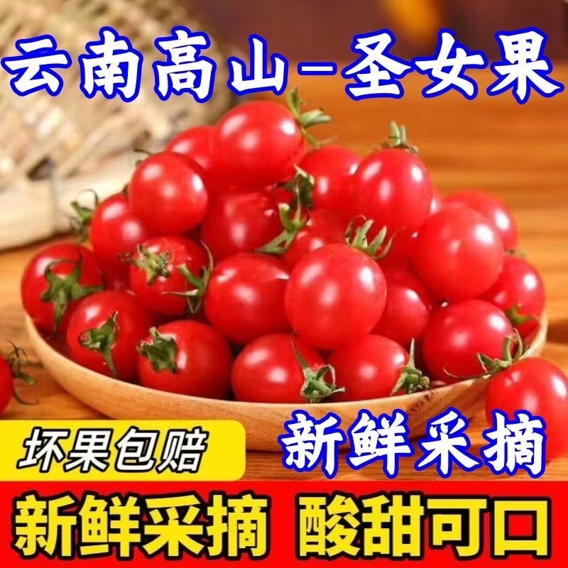 云南露天千禧圣女果小番茄一件代发