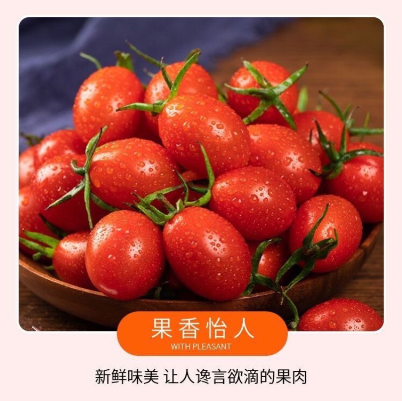 云南露天千禧圣女果小番茄一件代发
