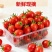 云南露天千禧圣女果小番茄一件代发