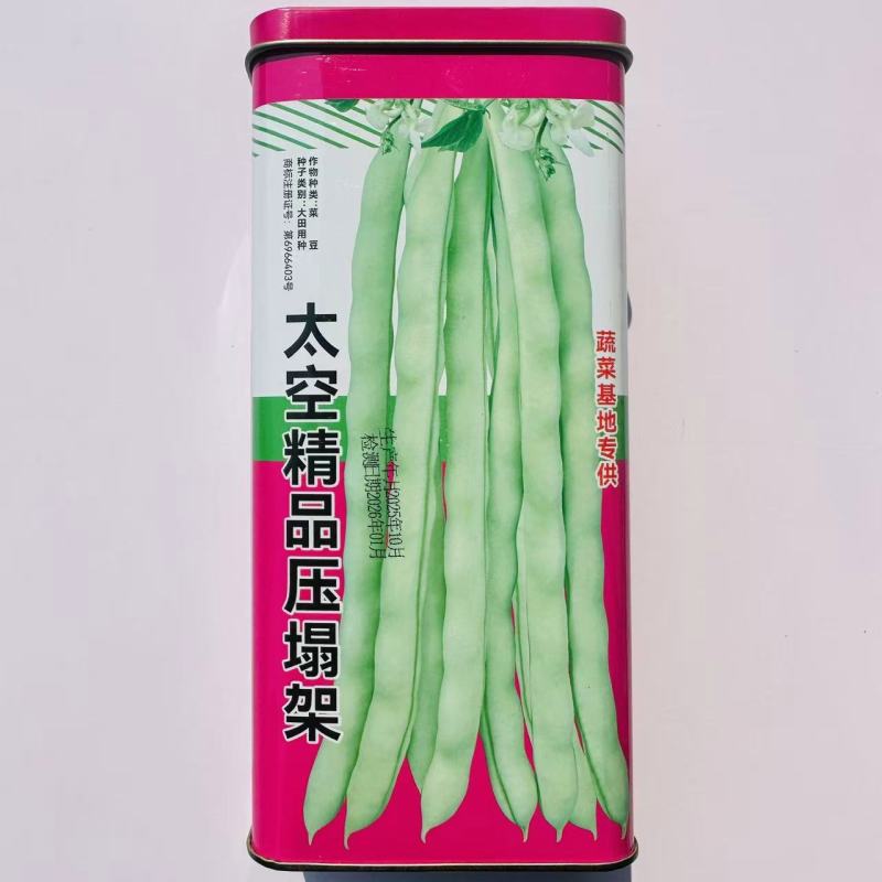 太空精品压塌架四季豆种子抗寒耐热无筋无纤维肉厚四季豆种子