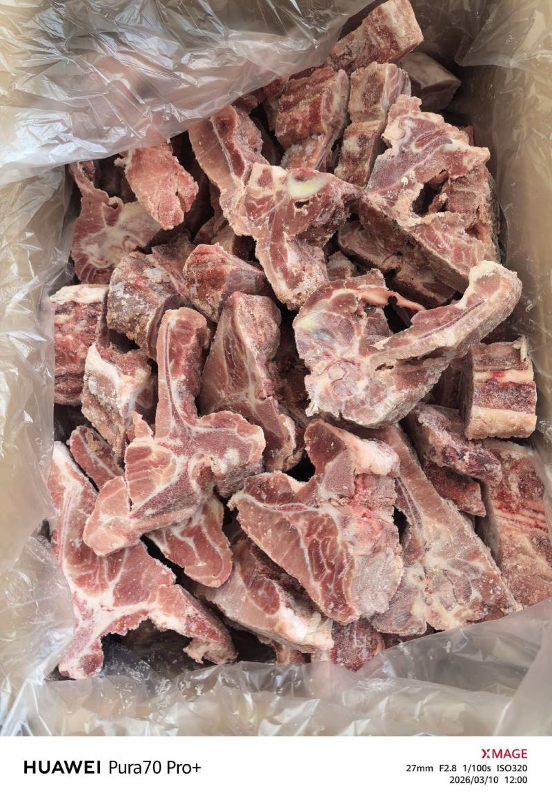 龙骨