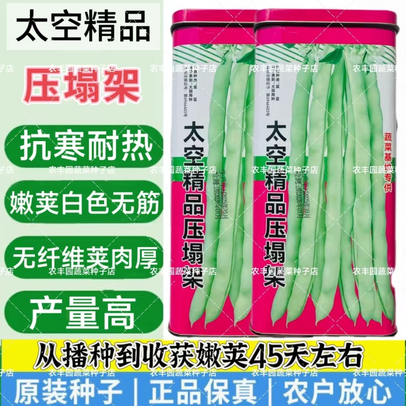 太空精品压塌架四季豆种子抗寒耐热无筋无纤维肉厚无筋豆种子